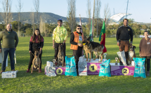 Cão algarvio é vice-campeão de Portugal de IGP 