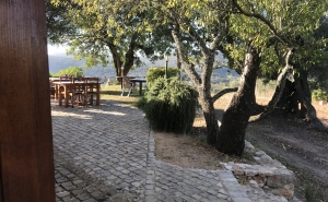 QUERENÇA REABRE RESTAURANTE DE REFERÊNCIA