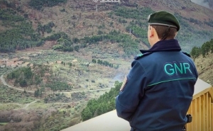 Incêndios: GNR já sinalizou 7.192 terrenos para limpeza na Campanha Floresta Segura 2025