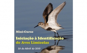 Mini curso sobre aves  limícolas na Casa João Lúcio