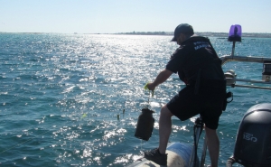 Polícia Marítima fiscaliza interior da Ria Formosa