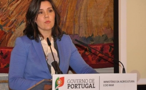 MINISTÉRIO DA AGRICULTURA E DO MAR INICIA «ROTEIRO DO MAR»