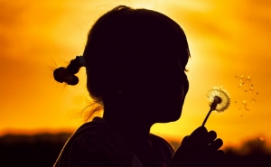 FACAL 2016 convida à descoberta dos aromas, saberes e sabores