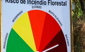 Incêndios: Vinte e sete concelhos de seis distritos em risco máximo