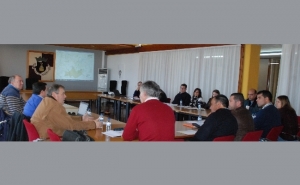 2017 com menos área ardida no concelho de Aljustrel 