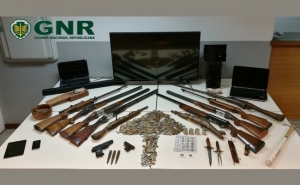 Apreensão de armas no âmbito de furto qualificado