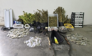 Tavira – Detido por cultivo de canábis e posse de arma proibida