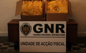 Évora - Apreensão de 40 quilos de folha de tabaco