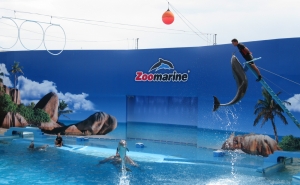 Grande Reabertura Do Parque Temático «Ex-Libris» do Algarve