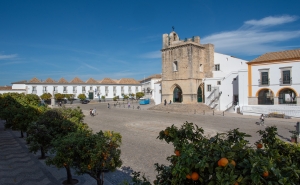 Diocese do Algarve celebra Jubileu dos Movimentos Laicais