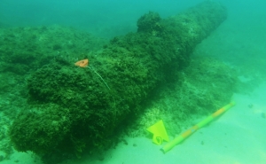 Museu de Portimão é parceiro da Campanha de Arqueologia Subaquática que volta ao rio Arade