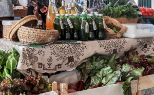 Viv o Mercado continua a incentivar a produção biológica em Lagos 