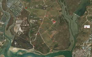 Projeto para a Quinta da Rocha sujeito a nova consulta pública