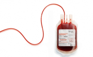 Serviço de Sangue da Unidade de Portimão tem novo horário para Dádivas Benévolas de Sangue