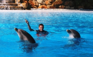 Adrien Silva diverte-se no Zoomarine, na Companhia da Família