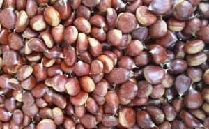 Feira de São Martinho |  3 a 12 novembro