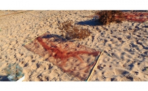 Polícia Marítima de Lagos apreende armadilhas para pássaros