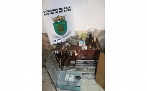 Produtor de Cogumelos Alucinogénios detido pela PSP com mais de 2000 doses de droga