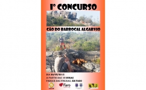 I Concurso do Cão do Barrocal Algarvio 