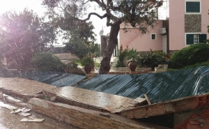 Vento forte derruba árvores e provoca cortes de eletricidade em Faro e Olhão