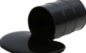 Quercus e Almargem aplaudem desistência de Repsol e Partex de prospeção