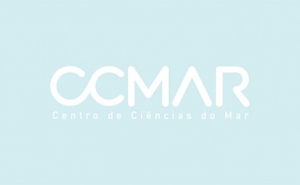 Estudo recorre a redes sociais e descobre duas espécies de cetáceos nunca descritas no Algarve