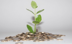 Diminui o apoio público aos subsídios para a Agricultura
