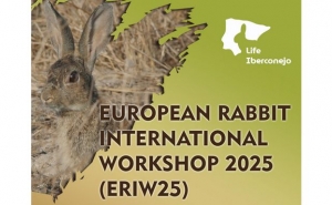 Faro recebe seminário internacional sobre a importância do coelho-bravo na biodiversidade e nas economias locais 