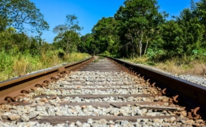 Ferrovia entre Algarve e Sevilha é uma «prioridade»