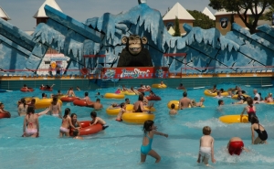 DIA MUNDIAL DA CRIANÇA: ALUNOS DO CONCELHO DE LOULÉ VÃO AO AQUASHOW