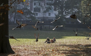 Projetos musicais algarvios atuam no Central Park em Nova Iorque