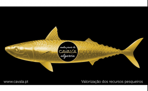 AÇÃO PROMOVE A CAVALA ALGARVIA