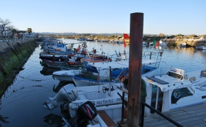 Armadores pediram intervenção urgente na Barra da Fuseta aos deputados da Assembleia da República