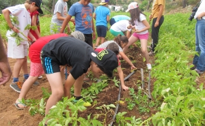 Férias Desportivas em Alcoutim