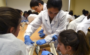 Alcoutim renova programa «Universidade Júnior»