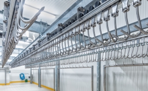 Parlamento recomenda ao Governo que promova a construção de matadouro no Algarve