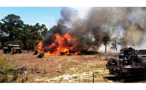 ICNF lança app para telemóveis para registo de queimadas. Instale aqui