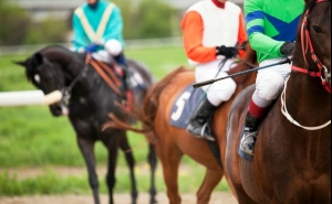 Governo aprova entidade para a organização de corridas de cavalos