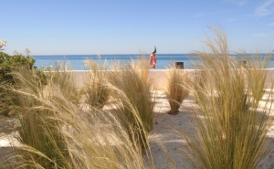 INFRALOBO E.M. COMEMORA O DIA MUNDIAL DO COMBATE À SECA E À DESERTIFICAÇÃO