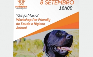 FORUM ALGARVE RECEBE WORKSHOP PET FRIENDLY
