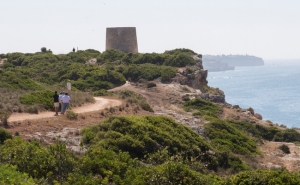 Torre da Lapa em fase de auscultação pública para ser classificada como Monumento de Interesse Público 