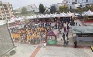 Desfiles, encenações e árvore gigante na Feira de Natal de Lagoa