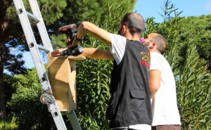 Castro Marim instala Caixas-Ninho para promover avifauna no território