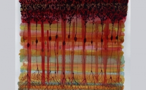 EXPOSIÇÃO DE ARTE CONTEMPORÂNEA EXPERIMENTAL «PONTO» EM ODEMIRA