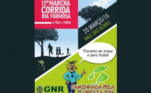 Caminhada pela floresta 2016