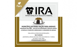 MUNÍCIPES CARENCIADOS VÃO TER ACESSO GRATUITO A RAÇÃO PARA ANIMAIS