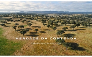 Vídeo sobre Paisagem, Biodiversidade e Avifauna da Herdade da Contenda