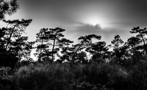 CENJOR DINAMIZA FORMAÇÃO DE FOTOGRAFIA EM FARO