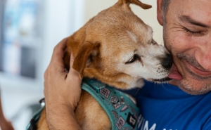 Dia Internacional do Animal celebra-se em Quarteira