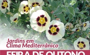 São Brás de Alportel acolhe a Feira de Outono - Jardins em Clima Mediterrânico